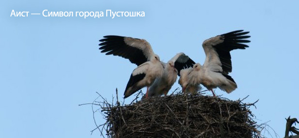 Укажите название Укажите название.